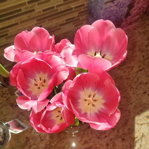 Meet your Posher, Joellen - Picture 2 of 2